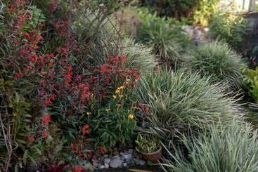 ツーリストアパートメント Zen Soufriere