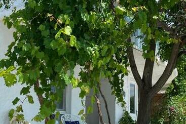 Apartamenty turystyczne Casa De Bagale Village House