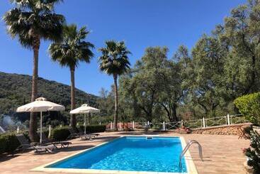 Апартаменты Golden Sun