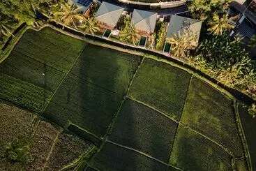 Bed & Breakfast Grün Canggu