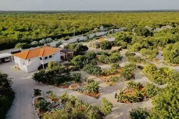 Le Soleil D Or Caymanbrac