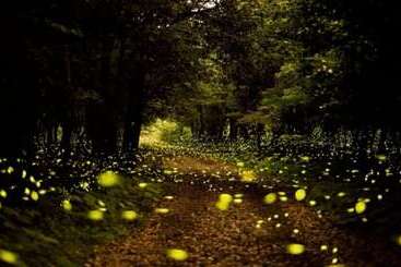 Jeju Osaekgyul Cheheom Pension