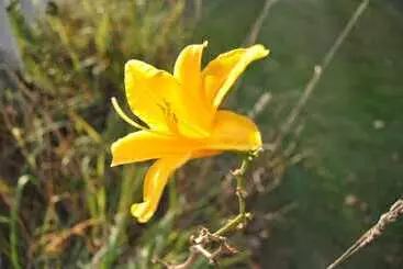 Hotelli Willoburke Boutique Inn & Nordic Spa