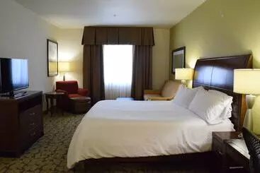 Hotel Hilton Garden Inn Rochester Downtown, Ny