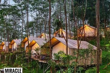 Otel Miracle Signature Hills