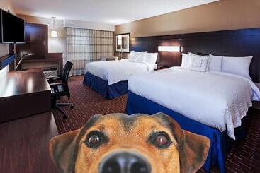 فندق Courtyard By Marriott Odessa