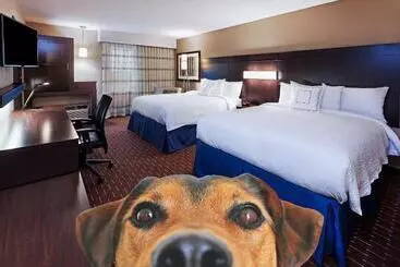 Hotel Courtyard By Marriott Odessa