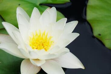 호텔 Ensana Pro Patria