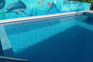 Mayflower Hotel & Hostal