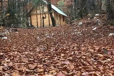 ペンション Guesthouse Dioni