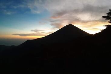 酒店 Manulalu Jungle