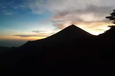 Hotelli Manulalu Jungle