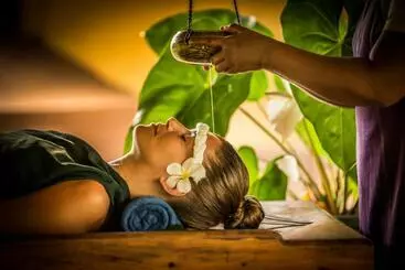 リゾートホテル Ayurveda Paradise Maho