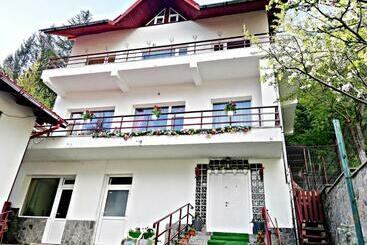 ペンション Casa Vitan