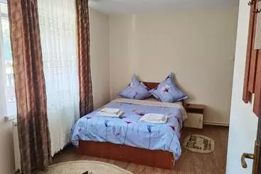 Pensionat Casa Girbacea
