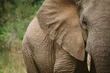 Majatalo Makongo Hills Lodge