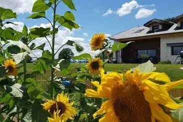 Bed and Breakfast Chambres D Hôtes La Ganivelle