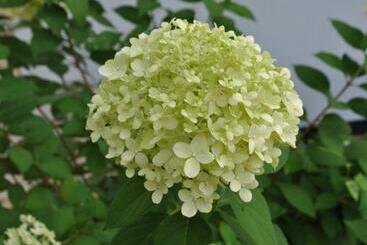 住宿加早餐 Chambres D Hôtes La Tribu