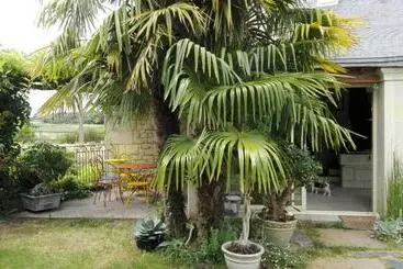 ベッドアンドブレックファースト La Motelle N 5