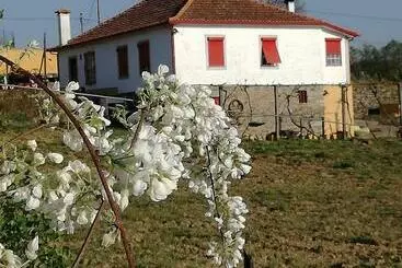 Majatalo Casa Da Vinha Grande