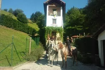 Albergue Usandi Auto Check In