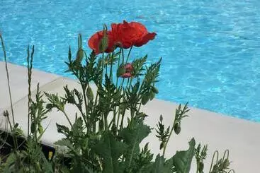 Aamiaismajoitus (B&B) Nido D Amore