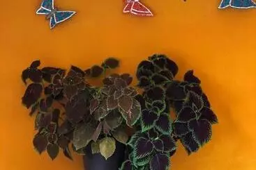 カプセルホテル Jade