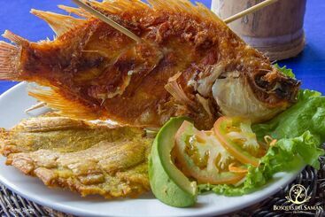 Finca Hotel Bosques Del Samán Alcalá