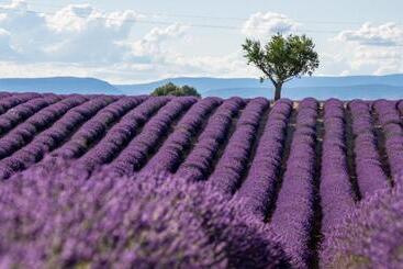 مبيت وإفطار Pierre De Lune