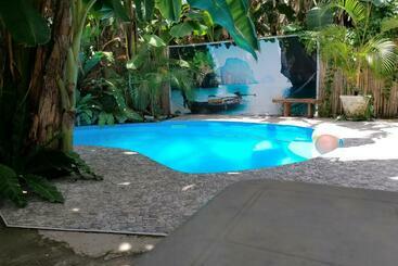 Szálló Two Crazy Monkeys