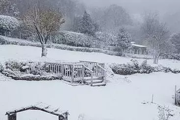 Aamiaismajoitus (B&B) Sycamore House