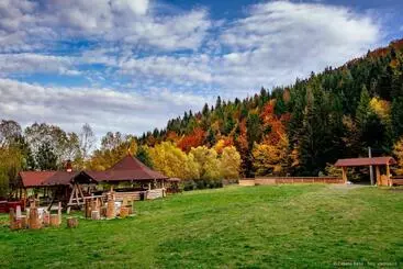 Pensjonat Cabana Raisa