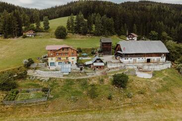 Bauernhof Kamsker Stuber