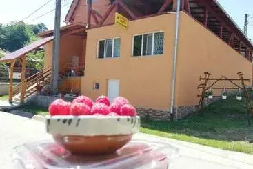 Hotel Fructele Padurii