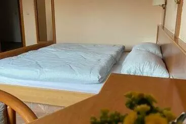 Hotel Gasthaus Neue Mühle