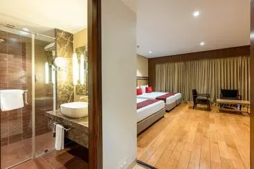 هتل Express Inn The Business Luxury