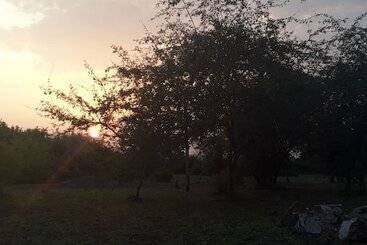 Engiri Game Lodge And Campsite