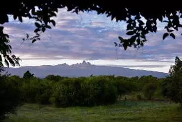 Olepangi Farm