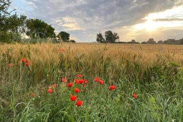 旅馆 Dworek Bielin