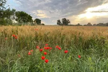 ユースホステル Dworek Bielin