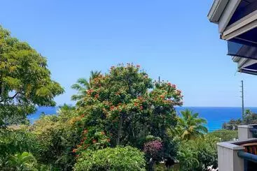 هتل A Little Aloha