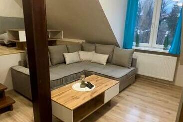 Pensionat Apartamenty I Pokoje Gościnne Ala Ii