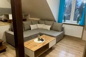 ペンション Apartamenty I Pokoje Gościnne Ala Ii