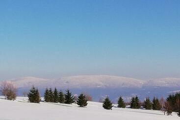 Gościniec śliwkowy Sad