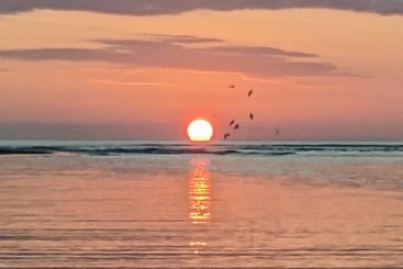 Hotel Salvatierra Beachfront