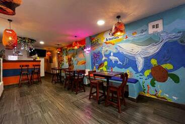 هاستل Acuarios Hostal