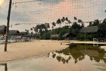 Hotel The Yard Hiriketiya