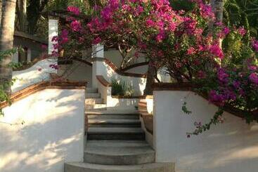 Отель Casa Flor De Mar