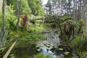 مبيت وإفطار Puketotara Lodge