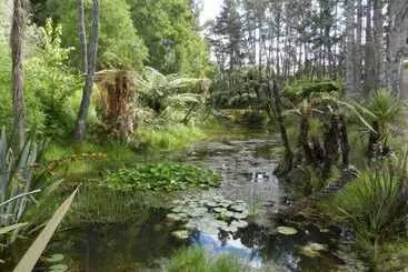 مبيت وإفطار Puketotara Lodge